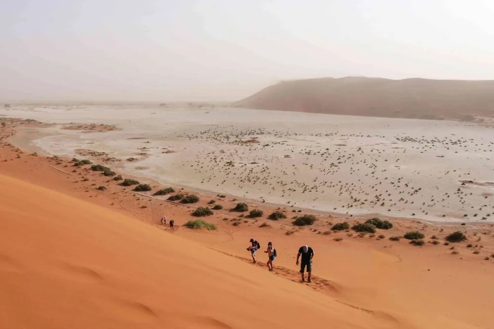 Dunes marcheurs — Irocha, Tisselday